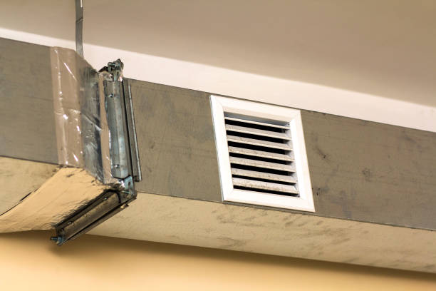 Best Commercial Air Duct Cleaning  in Douglas, AZ